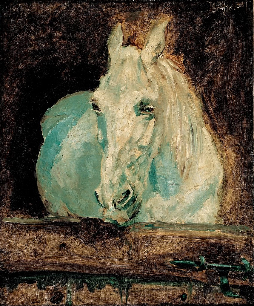 Il cavallo bianco Gazzelle - Albertina, Vienna